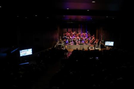 Dan samostojnosti Krško 094